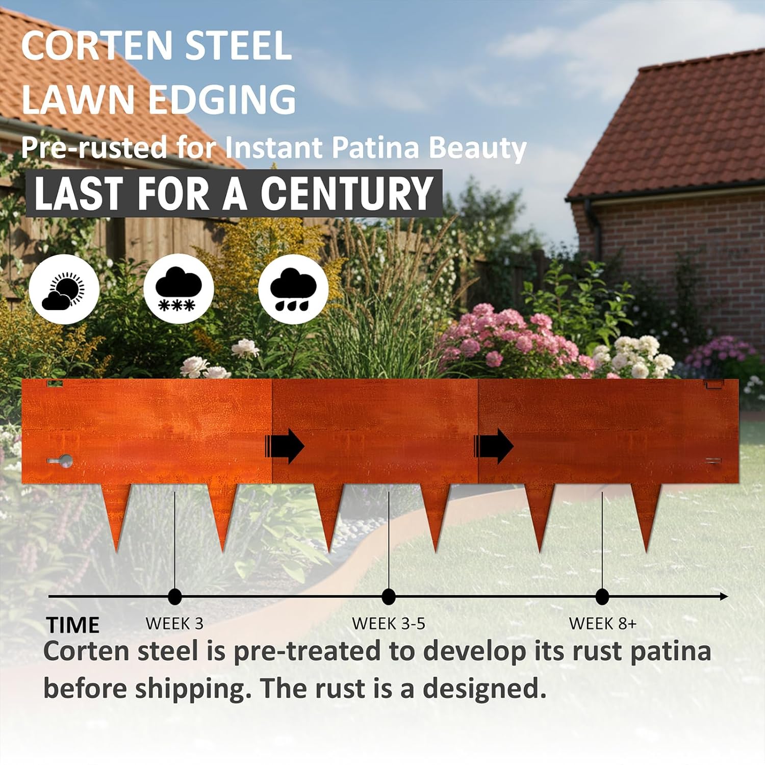 Corten steel garden edging patina timeline — pre-rusted before shipping, develops stable protective finish from week 3 to week 8 and beyond