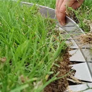 Close-up of stainless steel garden edge between grass and paving — clean 2 inch face height visible